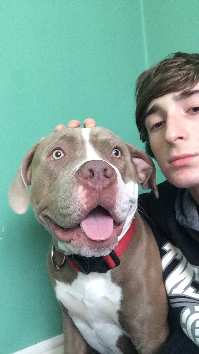 lilTrapJoshua's tweet photo. Look at this dood https://t.co/KpcV1kz9as