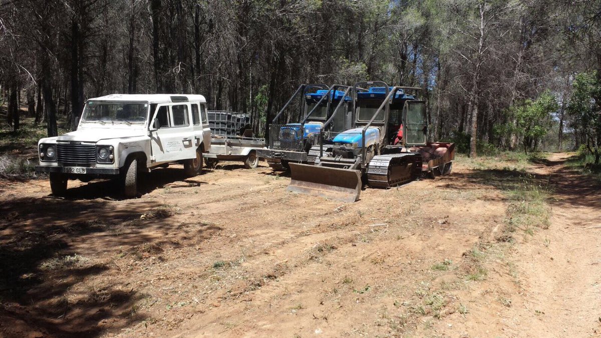 Forestal Alcarreña (@forestalcarr) on Twitter photo 