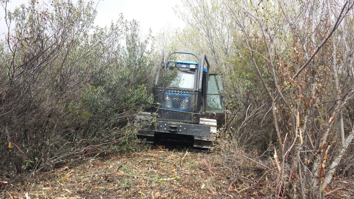 Forestal Alcarreña (@forestalcarr) on Twitter photo 