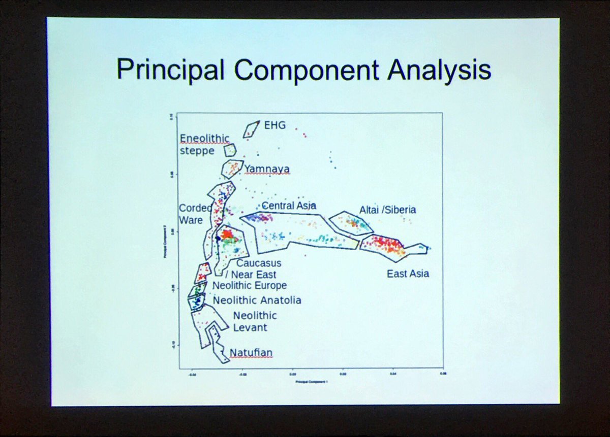 amwkim's tweet image. Proposal: enough high-quality ancients now that we can use to construct PCs and not project #SAA2017 #s330 #aDNA
