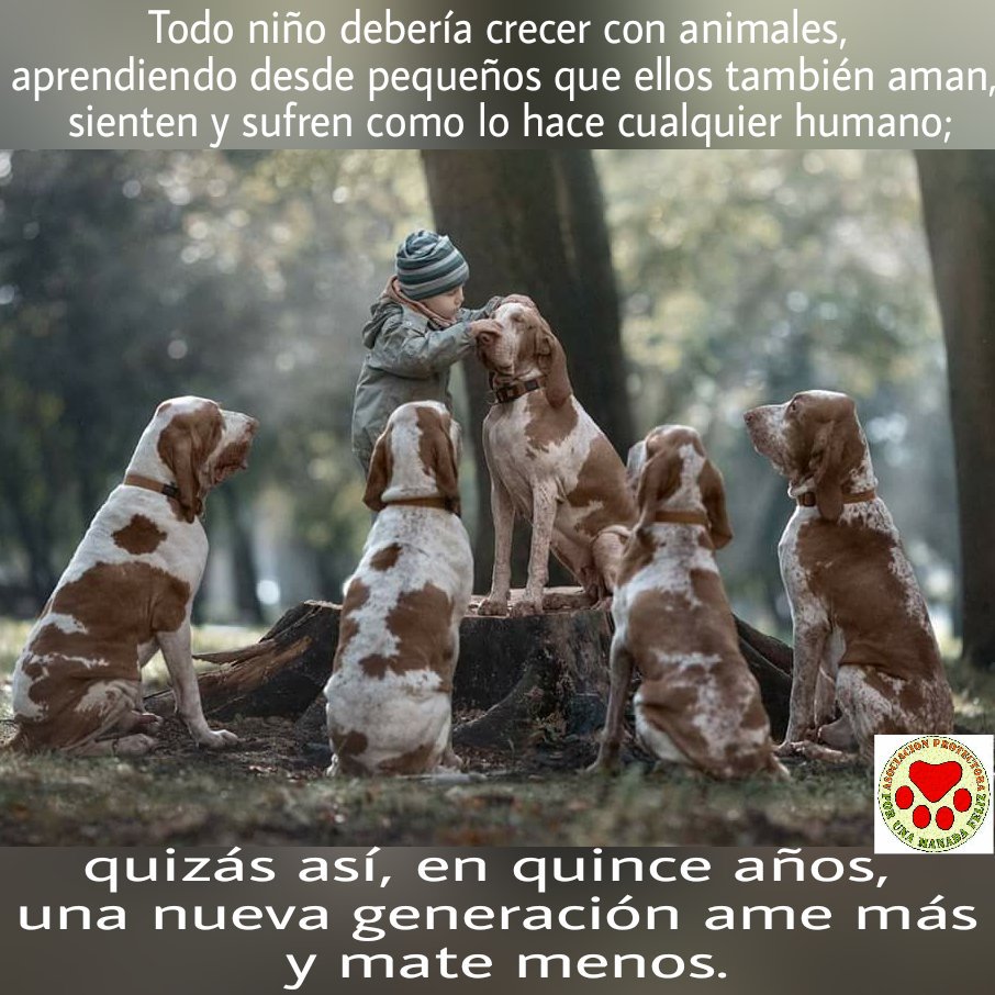 ManadaFelizCS's tweet image. #NoAlMaltratoAnimal #elpoderdelospequeñospasos #NoCompresAdopta #xunamanadafeliz