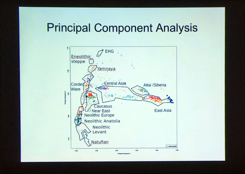 amwkim's tweet image. Baikal hunter-gatherers at extreme of East Eurasian variation #SAA2017 #s330 #aDNA