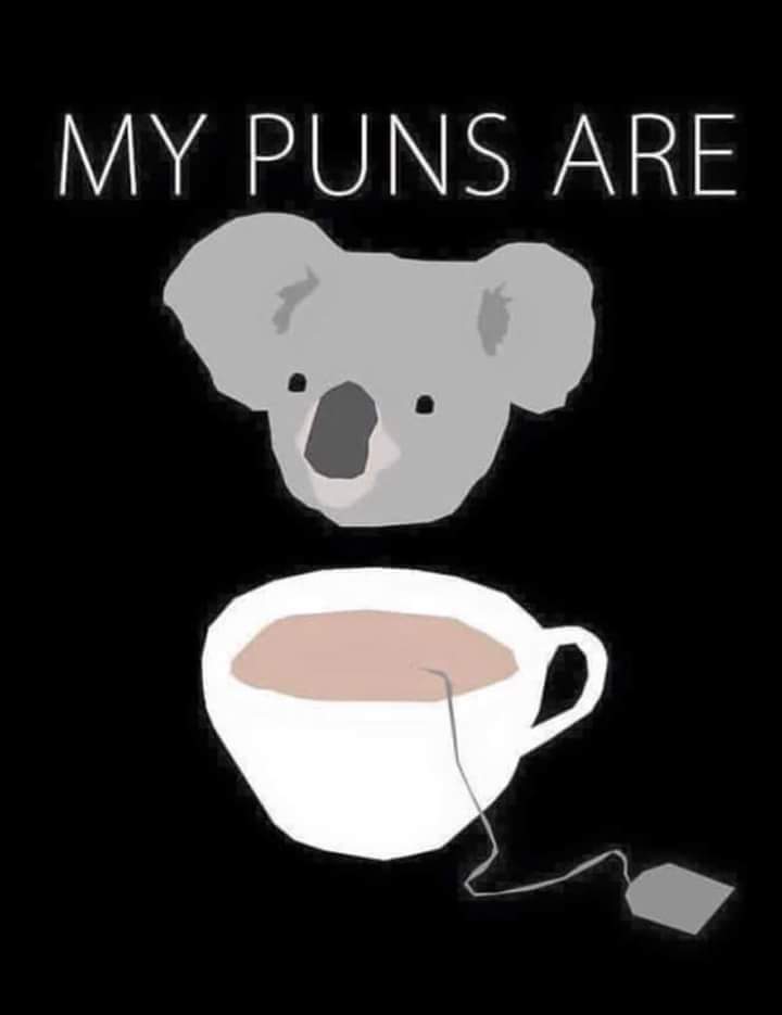 Katy_Sparkles's tweet image. 😂
#DempunsThough 
#AussieHumor