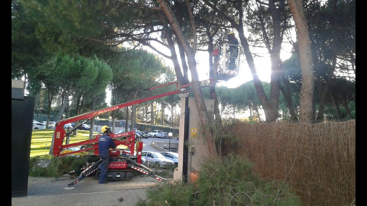 ForestAlcarr's tweet photo. Poda en altura https://t.co/BXTOHs3ju1