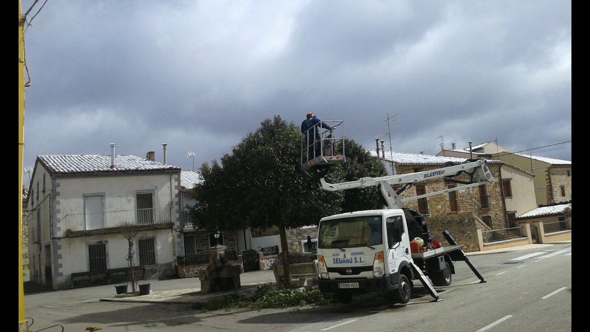ForestAlcarr's tweet photo. Poda en altura con todo tipo de plataformas https://t.co/py91VjcFtT