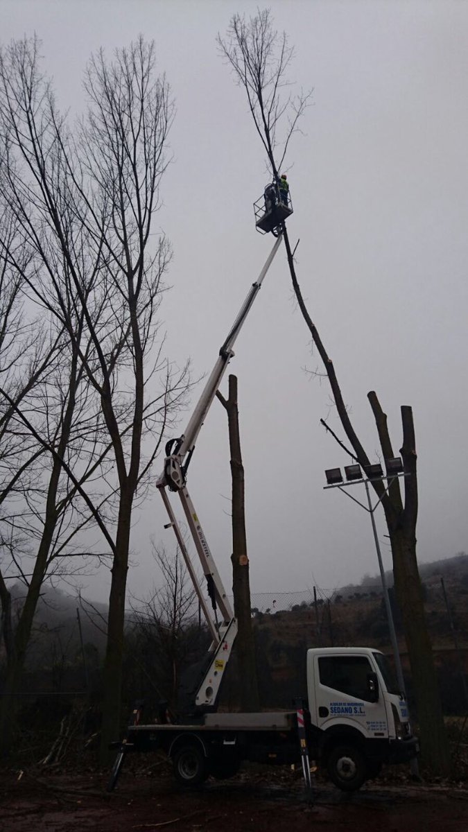 ForestAlcarr's tweet photo. Poda en altura con todo tipo de plataformas https://t.co/py91VjcFtT