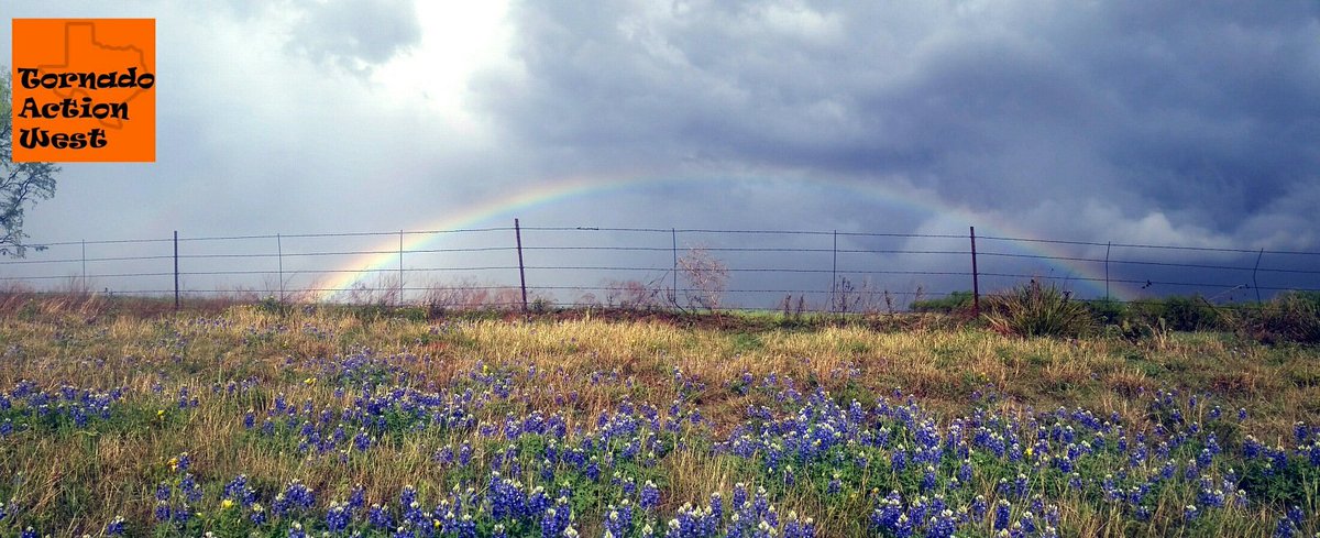 JohnRichTX's tweet photo. @TxStormChasers Kelly got the pic of the day! Sweetwater, TX after the storm. @CamoKelly_TX https://t.co/hZqCgegizD