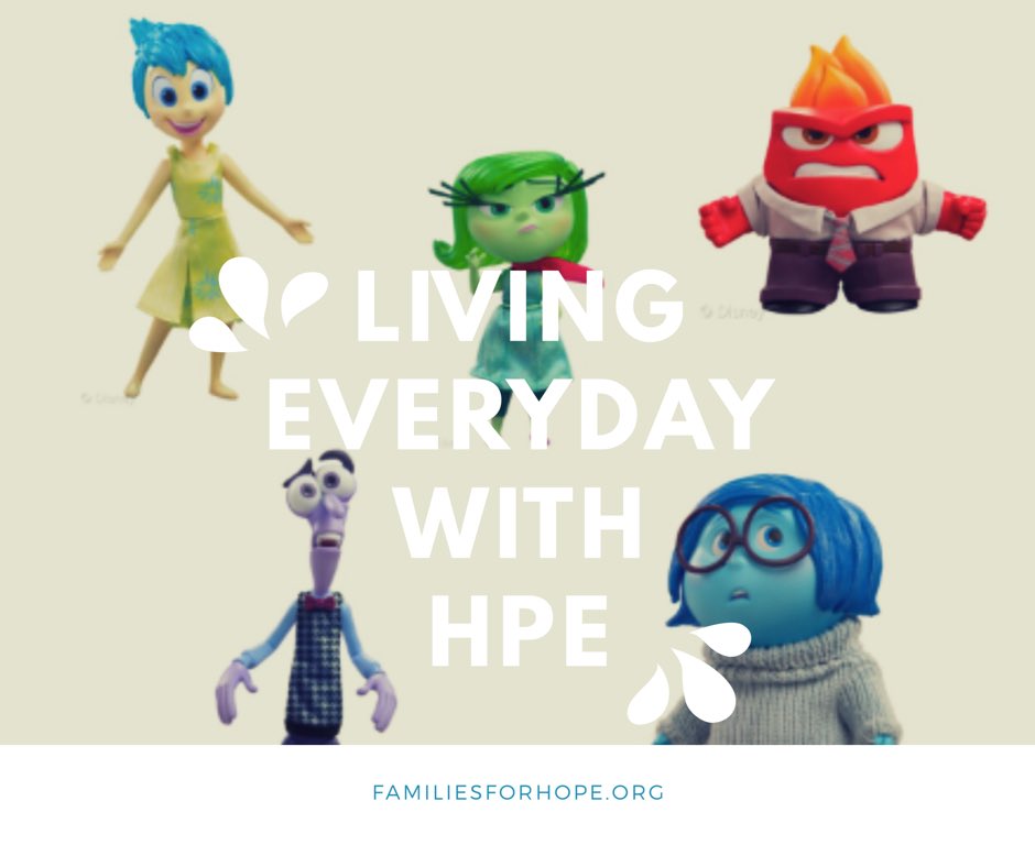 FamiliesforHoPE's tweet photo. #FFHoPE #holoprosencephaly https://t.co/GslMSJGN1S