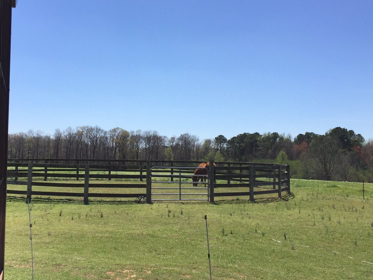 jhardingAL's tweet photo. Today's view. #springinalabama https://t.co/PjJF1AuRHo