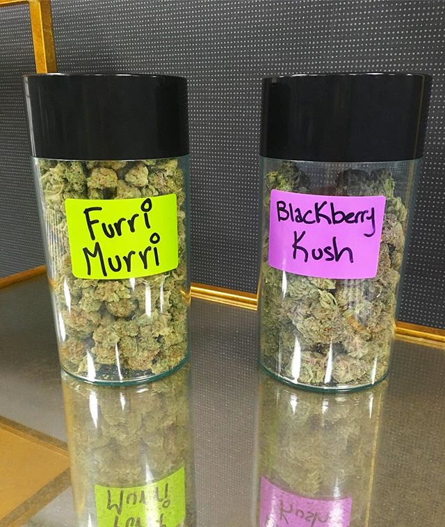 Who_Got_Loud's tweet photo. Happy Super Sized Saturday! We are super sizing our eighths on select strains today. Pictured is our Furri Murri, Hybrid, and our Blackberry https://t.co/cHroAfTAXT