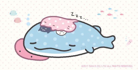 今朝は寝坊中です〜。
じんべえさんの情報はこちらから→https://t.co/ja0K6Y02ZZ #じんべえさん #こくじら 
