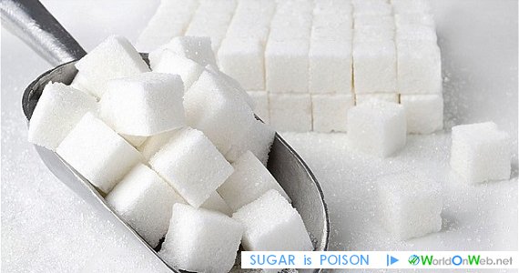 WorldOnWebNET's tweet photo. SUGAR is POISON
https://t.co/Cb6193xi1l
#sugarispoison #sugar #poison #whitepoison #SpringAMovie #TakeATVShowToTheGym #Gonzaga #Zags https://t.co/u7y4iaYqTW