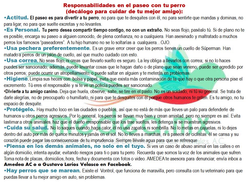 Gustavo Larios tweet media