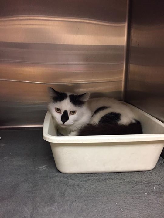 Marietta, GA Patch Breaking News, Local News, Events, Schools