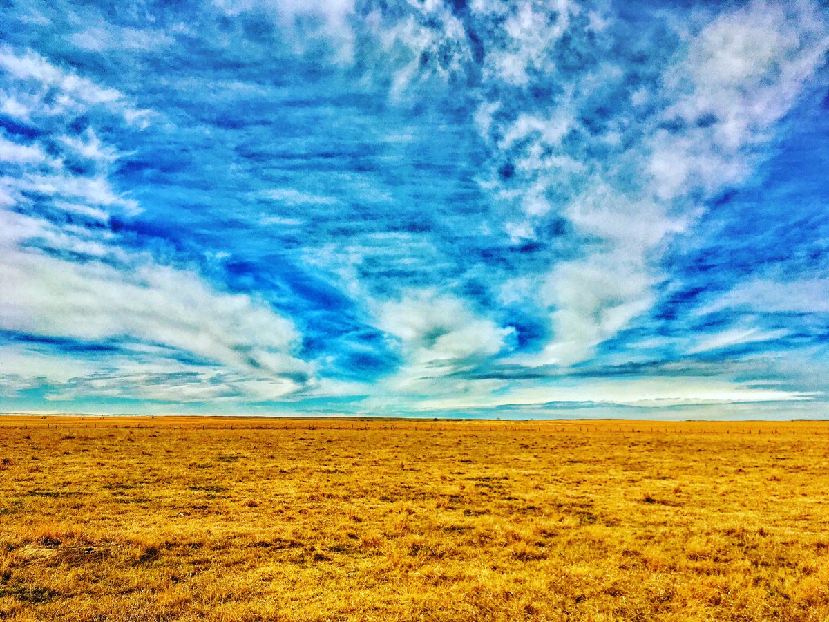 CDNBeef_ag's tweet photo. Spring on the flat southern Alberta prairies is hard to capture sometimes, but every now and then.... ☀️🌾 https://t.co/anPM9ZxaX2