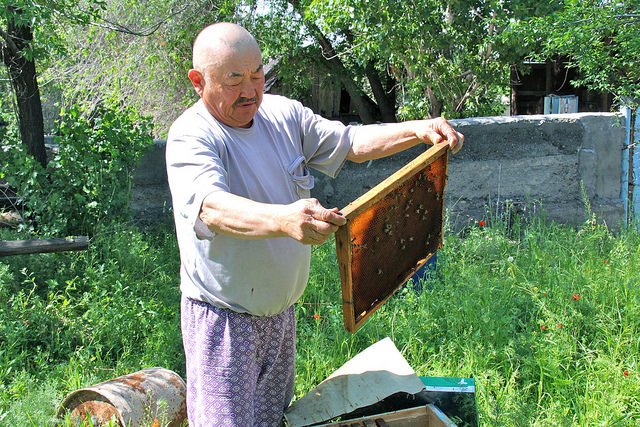 theGEF's tweet photo. Through beekeeping &amp; sustainable agriculture, a @theGEF project in #Kazakhstan revived a village. Learn more: https://t.co/HQ71mSbawT https://t.co/DGUGksoAd8