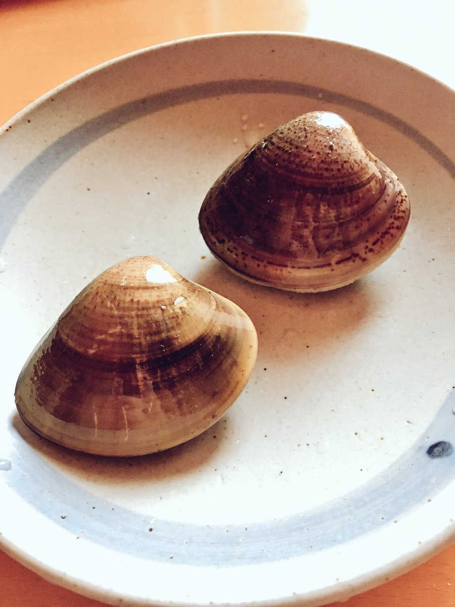 あさりにハマグリ マテ貝も 今が旬 潮干狩りのコツ