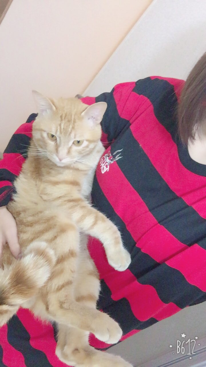 ふくれな Sur Twitter こやつの目のちっささが可愛さをより引き立ててるわ ちなみに名前はミルちゃんやで 犬種はボストンテリアとシーズーのミックスッ 猫がシエル君でとぅ 種類はわかりません ふくれな Sur Twitter こやつの目のちっささが可愛さをより引き立ててるわ ちなみに名前はミルちゃんやで 犬種はボストンテリアとシーズーのミックスッ 猫がシエル君でとぅ 種類はわかりません