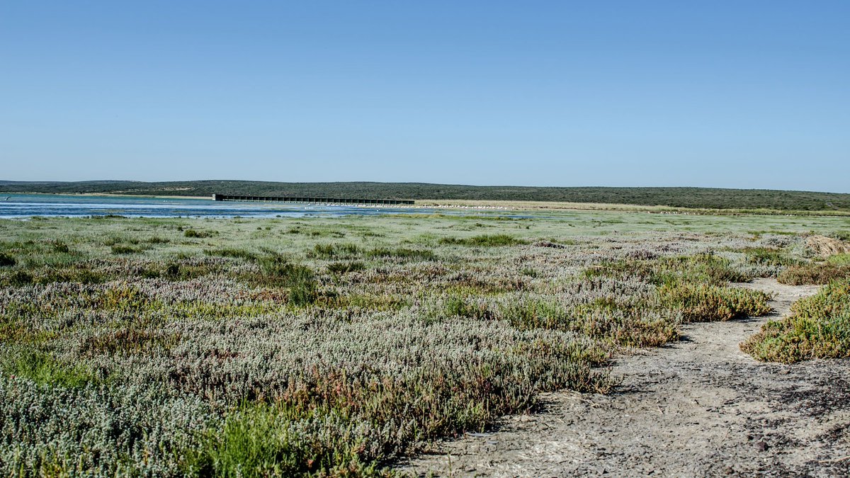 Geelbek Restaurant is located in the perfect setting to please culture, nature and adrenaline lovers.