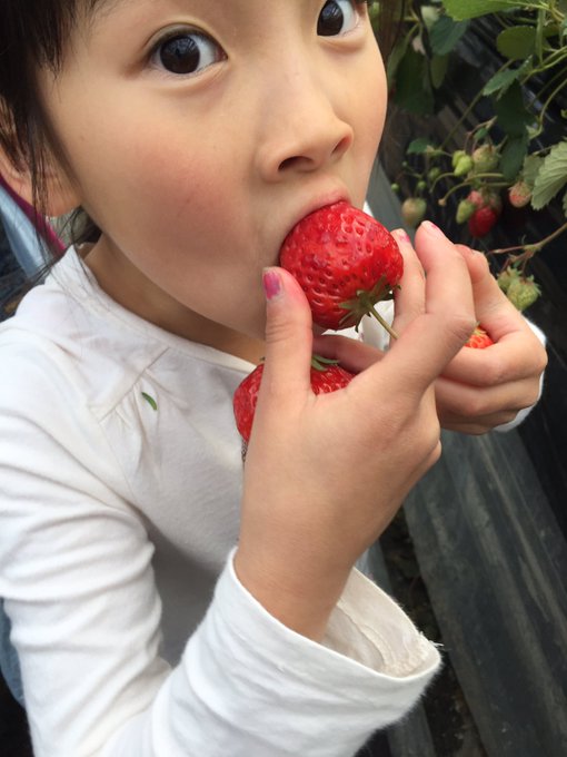 Twitterのコスプレ画像21