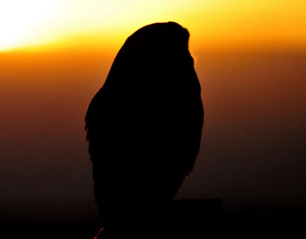 Martin George On Twitter The French Say Lheure Entre