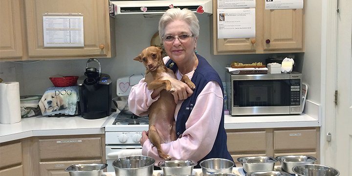 people's tweet photo. Maryland woman’s ‘House With a Heart’ gives abused senior pets a place to retire in love and comfort https://t.co/JFnVpdVcKk via @PEOPLEPets https://t.co/DYCvidKY10
