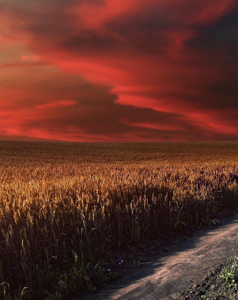 lorASoul's tweet photo. Буває часом дивне відчуття, - що час іде, а я собі окремо..

#лінакостенко https://t.co/mvahmJhIHF