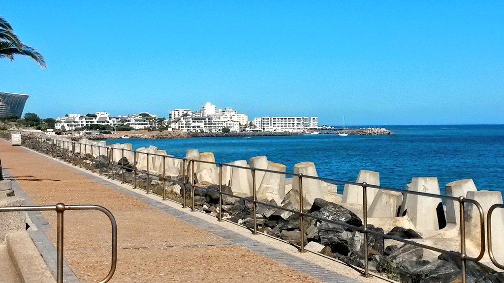 🌲 I took a walk in the woods &amp; came out taller than the trees - @HenryDavidThore 🌳  #ShotLeft #ThinkBIGSundayWithMarsha