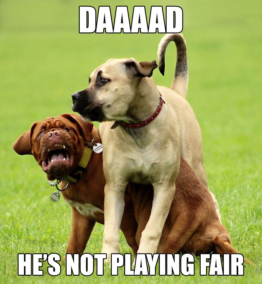 karen setter tweet media