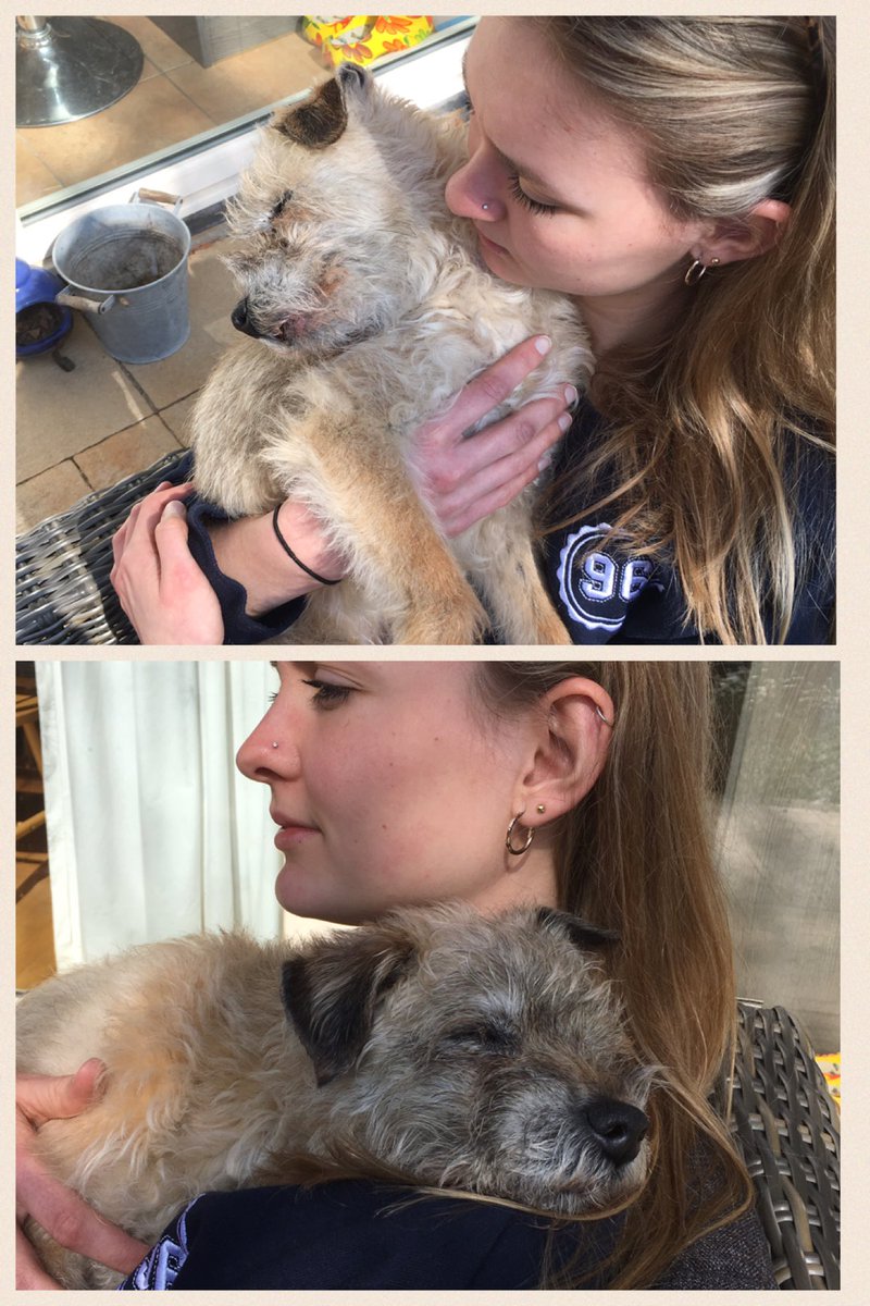 SaffiBorderT's tweet photo. Bit tired after too much circly-wurkling https://t.co/qpUbe0LzgU