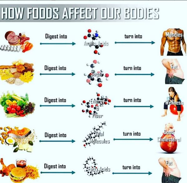 healthtips024's tweet photo. How Foods Affect Our Bodies

#HealthTips https://t.co/DJGBCuwyZO