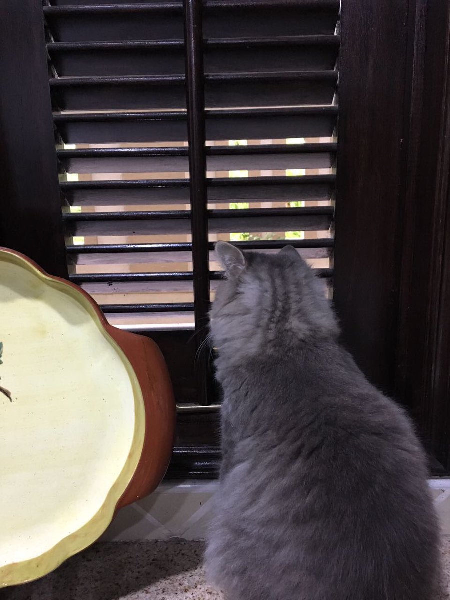 adibilhamm's tweet photo. Apa lagi sedih dari kena tinggal dengan awek ? 

 tengok awek kena romen depan mata https://t.co/yrzTaocxgz