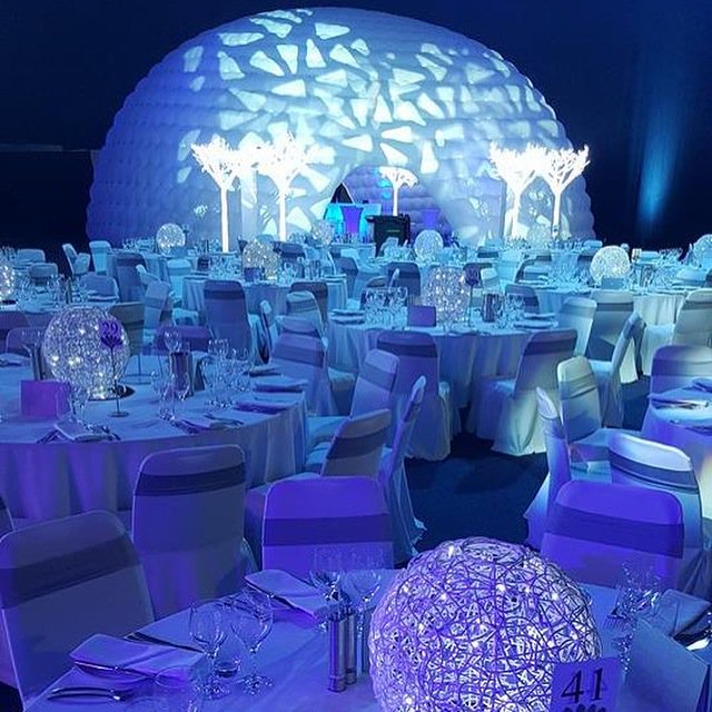 phenomenonevent's tweet image. Sparkle #winterwonderland #igloo #ledtree