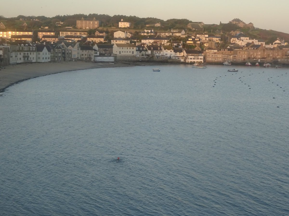 Beautiful morning views from <a href="/MincarloScilly/">Mincarlo</a>. Is it a fish? Is it B2? #swimming #GetOutside <a href="/visitIOS/">Isles of Scilly</a> <a href="/IOSTravel/">Isles of Scilly Travel</a>