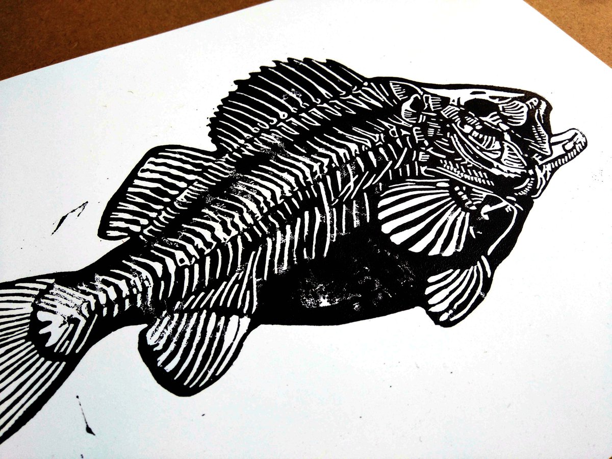 upopot's tweet photo. #Skeleton #fish #linoprint on #sale here
> https://t.co/GWCVjF8PRz
#Print
#Art
#aprilfoolsday
#Aprint
#SundayFunday
#Sunday
#Wallart
#ink https://t.co/fPuUWmI0Px