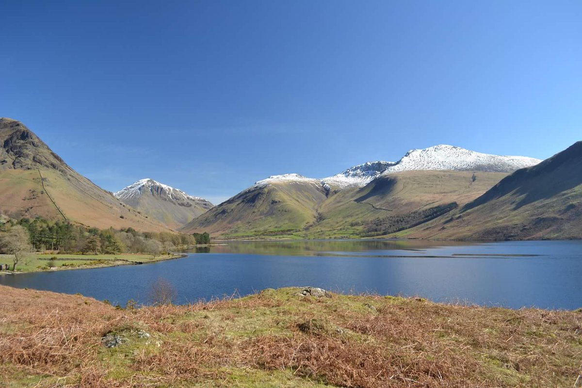 Vivienne Tregidga tweet media