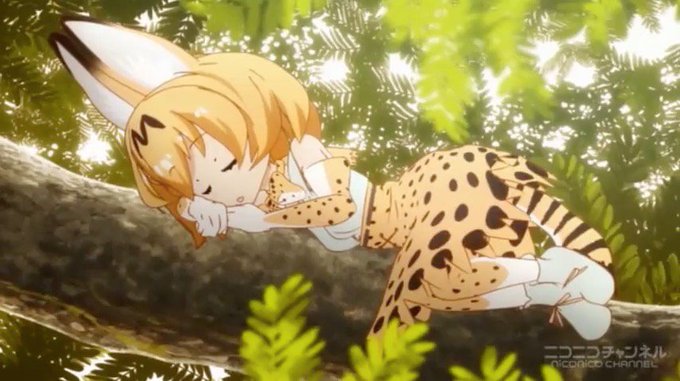 サーバルちゃんの画像をアップすると近い構図のサーバルキャットの画像 サーバルちゃんの画像をアップすると近い構図のサーバルキャットの画像
