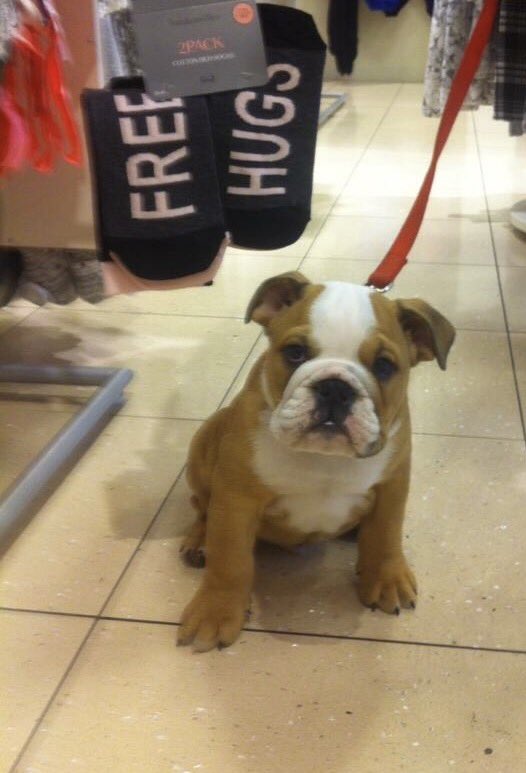 #freehugs #hkmfun #hunkemoller <a href="/LauraHaarlem/">Laura</a> <a href="/LauraLucienna/">Laura '</a> <a href="/anita171969/">a</a>