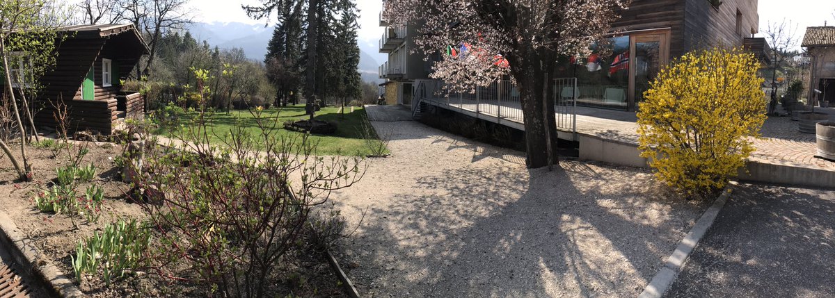 ParkHotelAzalea's tweet photo. Il risveglio del giardino del #parkhotelazalea ... che emozione #happygardening @visitfiemme @Trentino360 @alpinfieber https://t.co/bcthmNrVMd