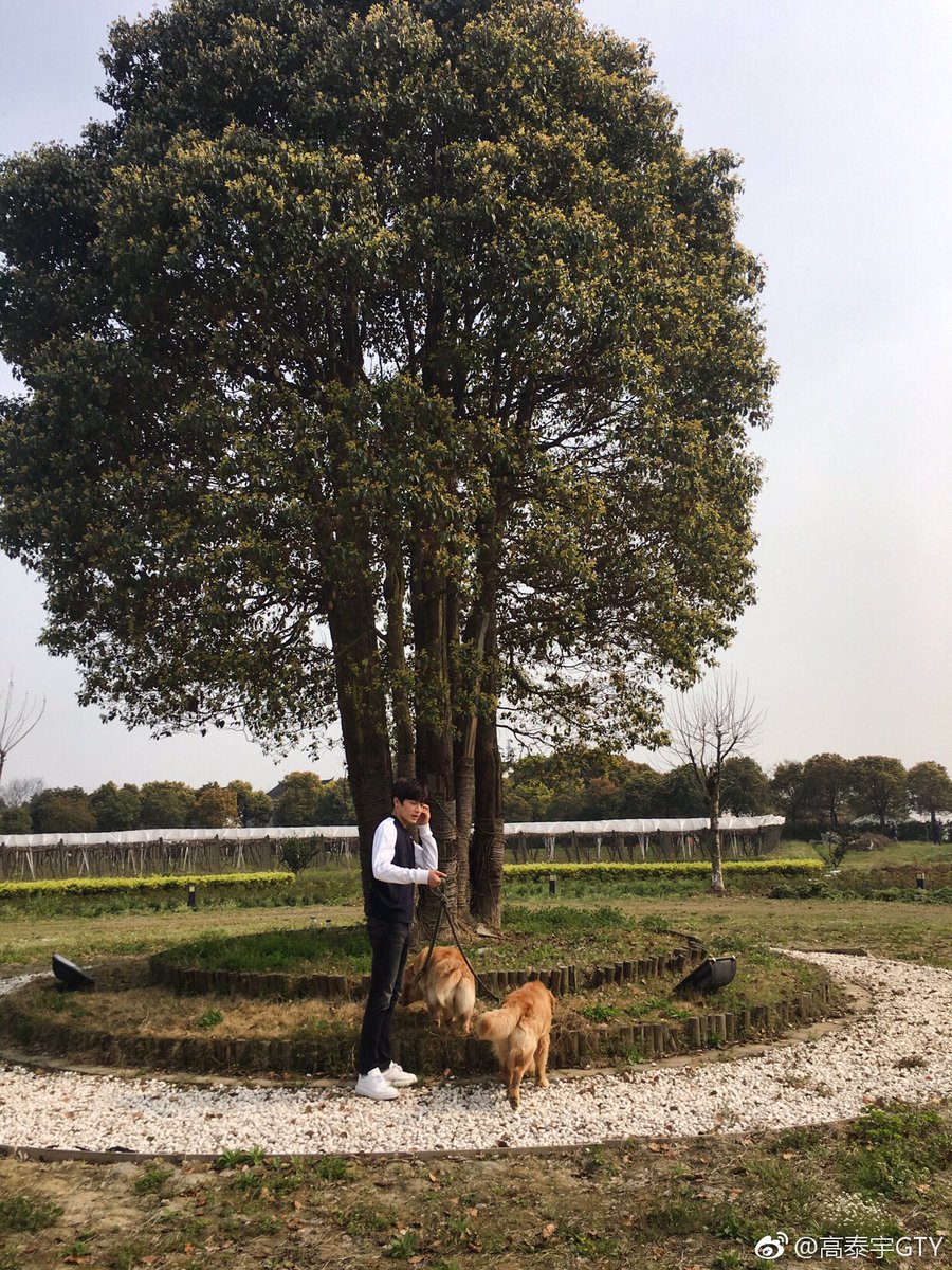gty_global's tweet photo. "It's weekend"

Cute golden retrievers 🐶🐶 https://t.co/BPazw1WQDS