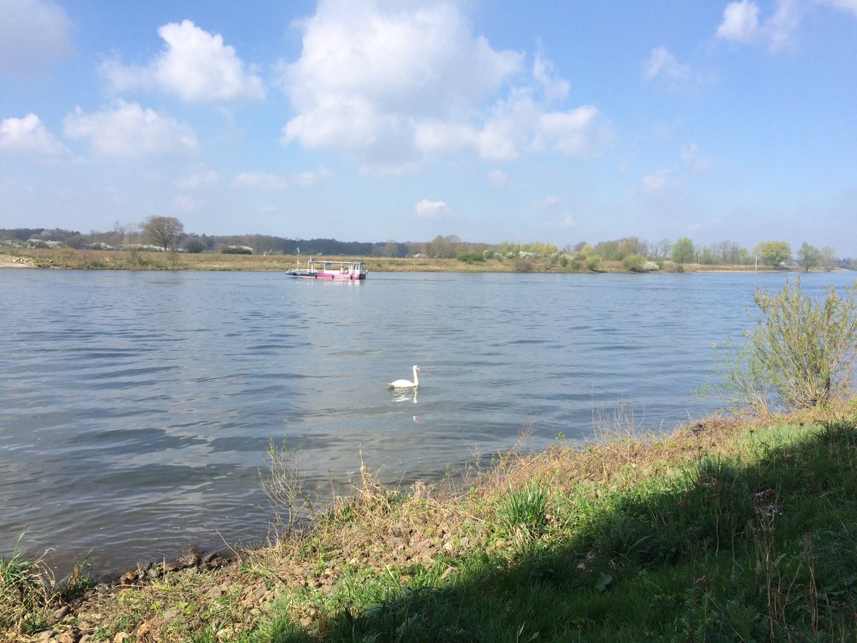 Dit is toch net vakantie? #limburg #arcen