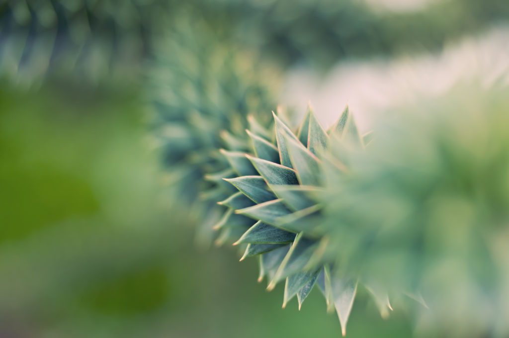 pakkbags's tweet photo. ISO, Shutter Speed and Aperture are essential parts of your camera, understand them here: https://t.co/FpPBfpJGta https://t.co/KQvqYYelNh