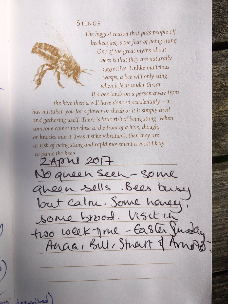 bee7forestgate's tweet image. 