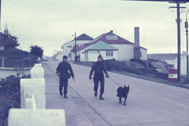 pets_celebrity's tweet image. PERROS HÉROES de la guerra de Malvinas , la historia de cada perro !

--&amp;gt; goo.gl/JfoDzv

 #MalvinasArgentinas #EsteFinde #Perros