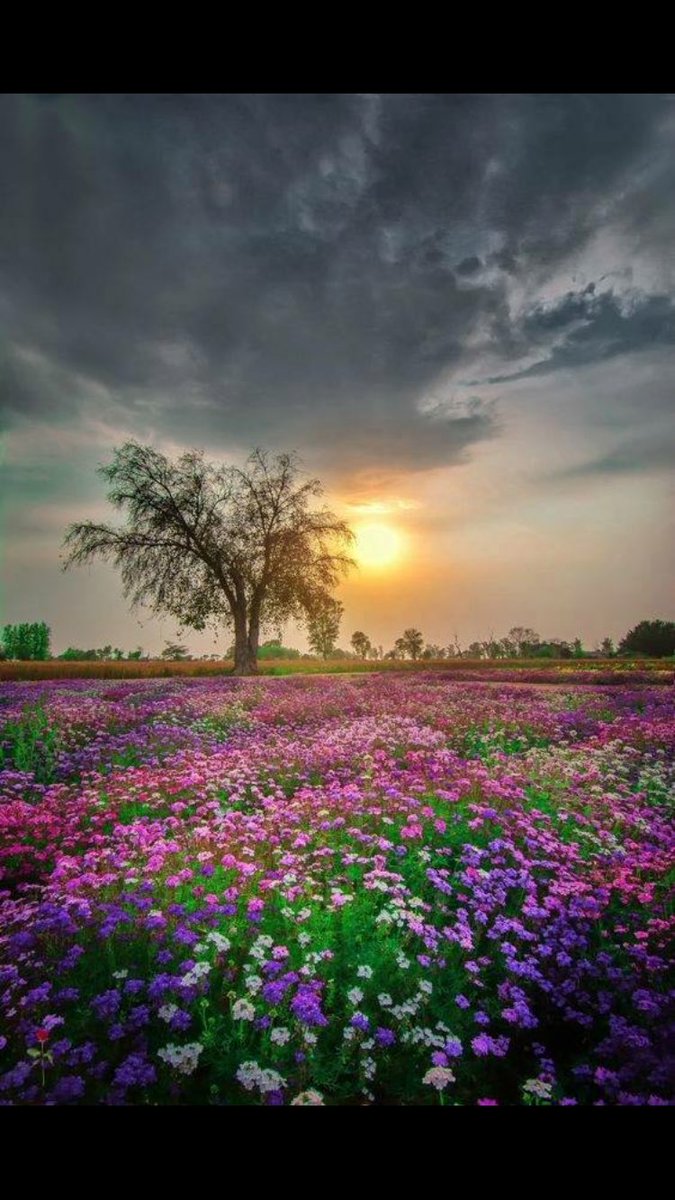 اصد مبغى من طرفهم ولا اخبار 
واللي يسولف قلت تكفى اختصرها

هرجك يهد جبال ويقصر اعمار 
ويزيد في ضيق النفوس وكدرها🖤