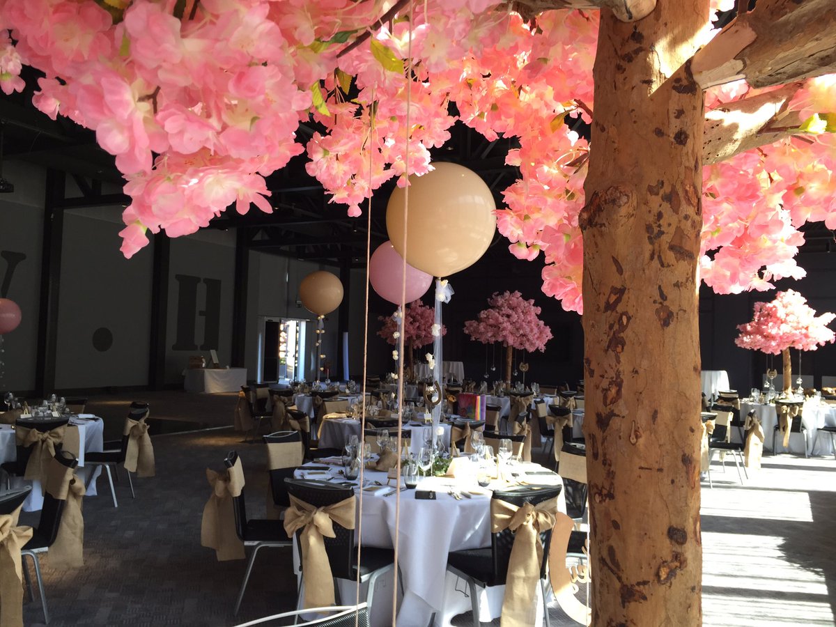 splendideventd's tweet photo. Wedding Season is BACK 🎈💕 #blossomtrees #weddings #liverpool #chaircovers https://t.co/80H1h0VQON