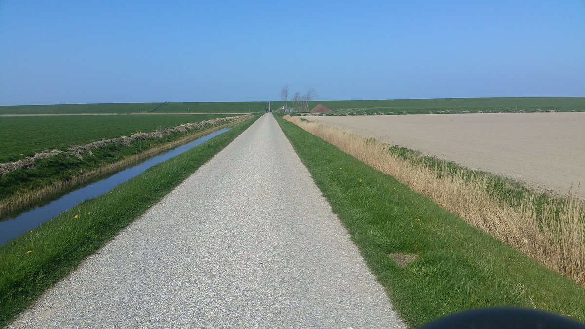 Tjitske Damstra tweet media