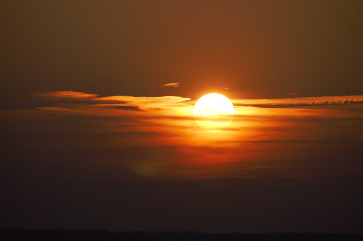 bluefingerpics's tweet photo. #zwolle #ijssel #sunset https://t.co/W70x8YHVxv