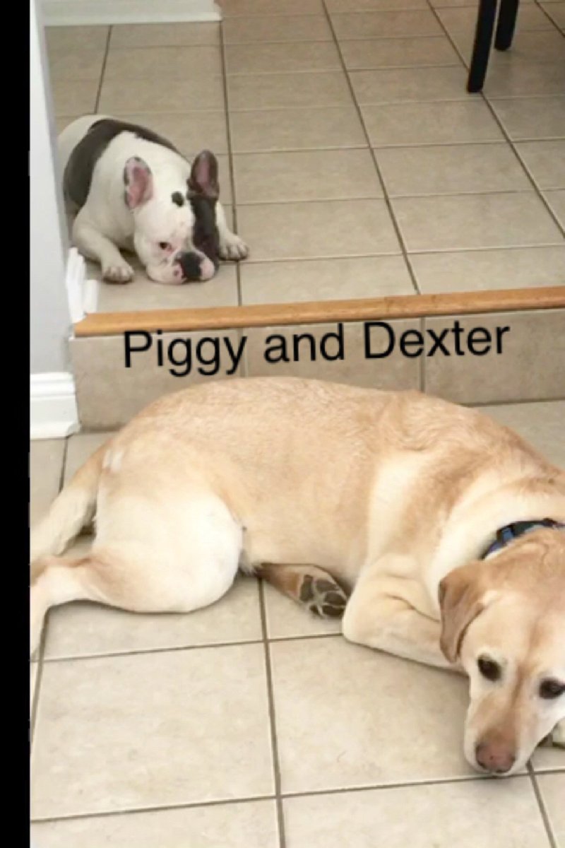 Dexter_DMan's tweet photo. https://t.co/oTPTNdCxgS