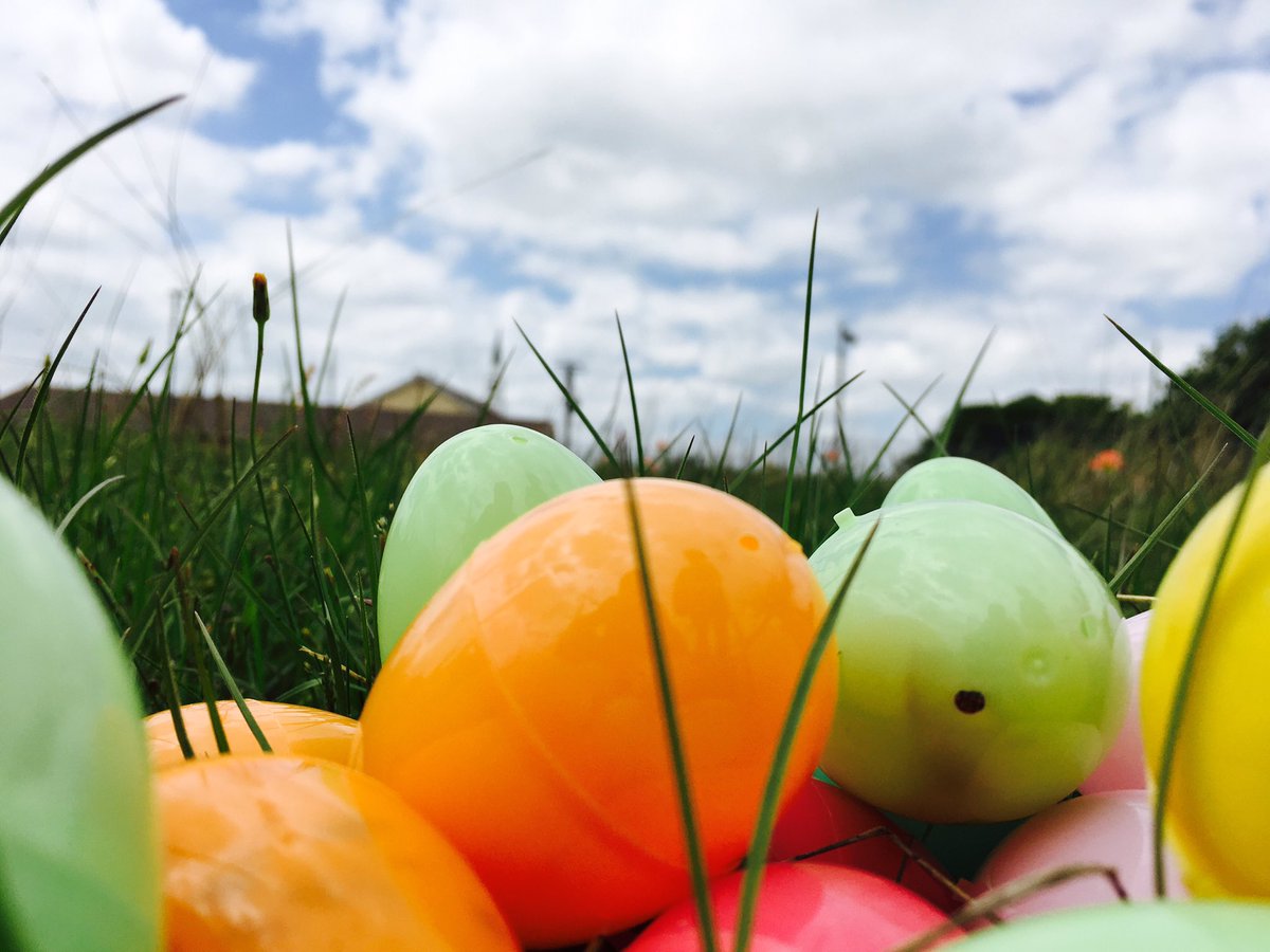 HT_roots's tweet photo. Over 4.000 eggs. So. Many. Eggs. We had a great time this morning: Palm Sunday • Easter Lunch • Egg Hunt. Thank you to all who helped! https://t.co/DobeNjRS2f